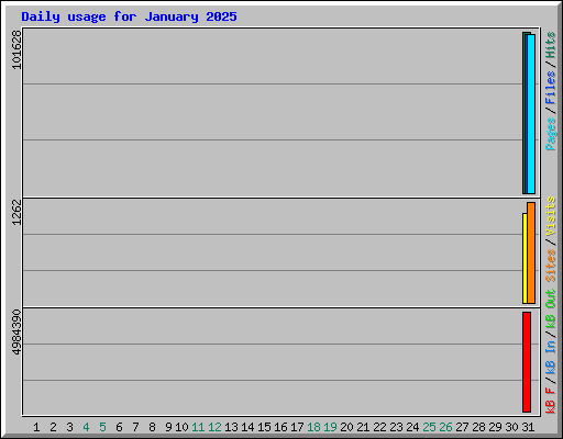 Daily usage for January 2025